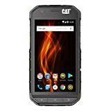 Cat S31