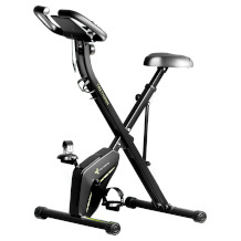 Tretmann Indoor Bike